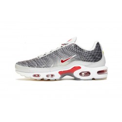 Perfectkicks (M) Nike Air Max Plus Tn Grey and White Shoes