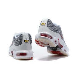 Perfectkicks (M) Nike Air Max Plus Tn Grey and White Shoes