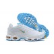 Perfectkicks (M) Nike Air Max Plus Tn White Blue Shoes